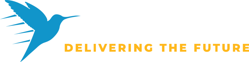 917 Solutions logo with blue bird and yellow text reading "delivering the future"